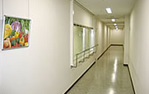 歧阜工廠　見学通路