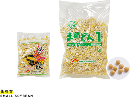 黃豆芽