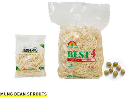 Mung Bean Sprouts