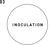 Inoculation