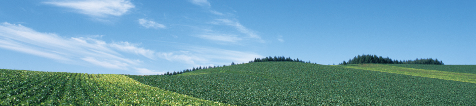 Full utilization of resources