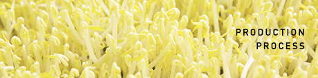 Production Process